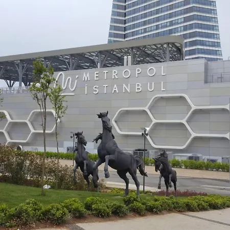 Metropol Cozy Studio